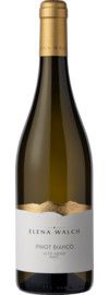 2024 Elena Walch Pinot Bianco