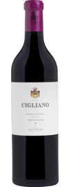 2021 Villa Cigliano Chianti Classico Gran Selezione