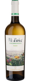 2024 Fili d' Erba Fiano